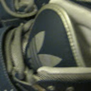 Meet your Posher, Rosa